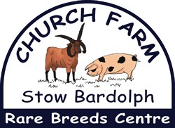 Church Farm Stow Bardolph Rare Breeds Centre